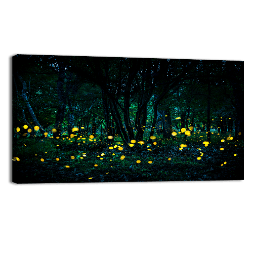 Bosque de las luciernagas