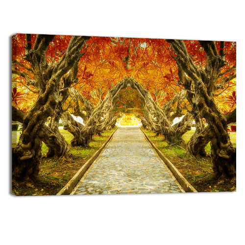 Plumeria Tree Tunnel