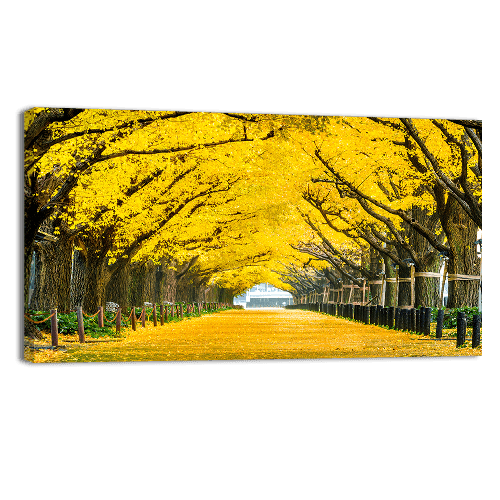 Row of yellow Trees