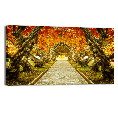 Plumeria Tree Tunnel