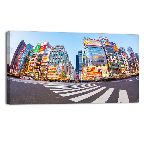 Shinjuku Tokyo Metropolis