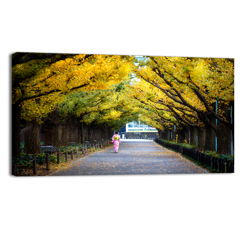 Meiji Jingu Gaien