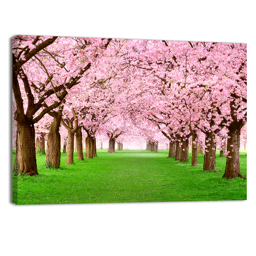 Majestical Blossom