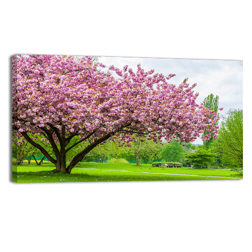 Sakura Tree
