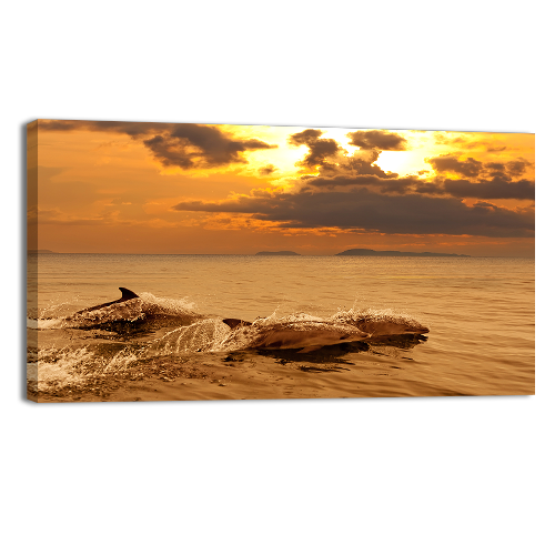 Playing in the sunset