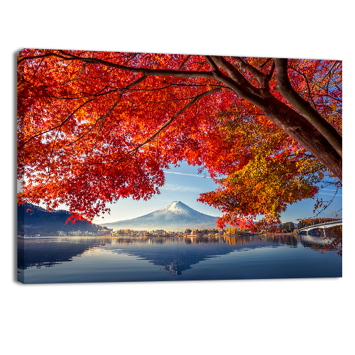 Autum Season at Fiji