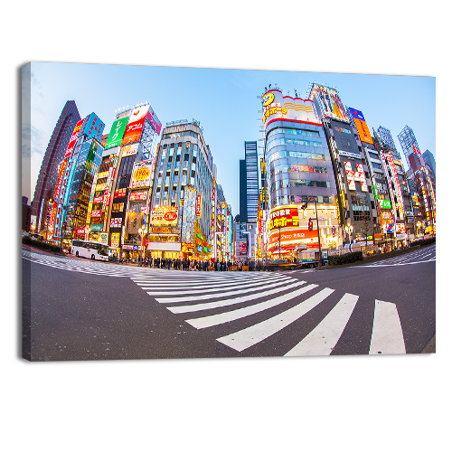 Shinjuku Tokyo Metropolis