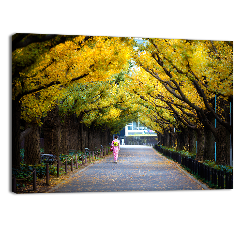 Meiji Jingu Gaien
