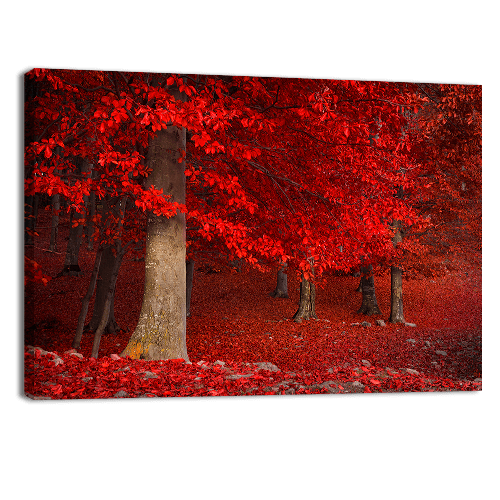 Red Trees