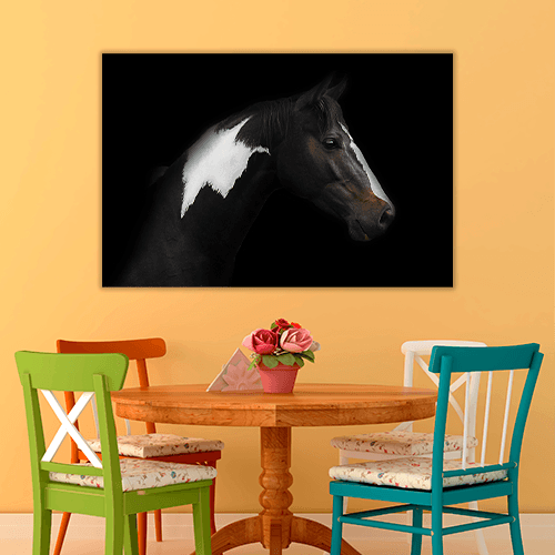 Skewbald Horse