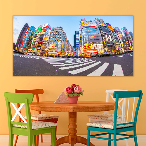 Shinjuku Tokyo Metropolis