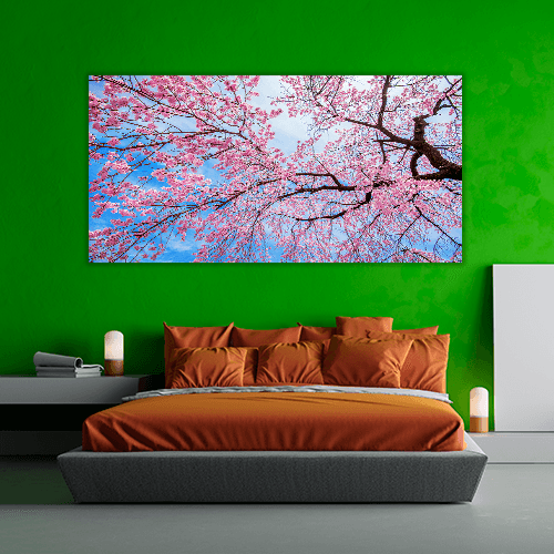 Sakura Season in Spring