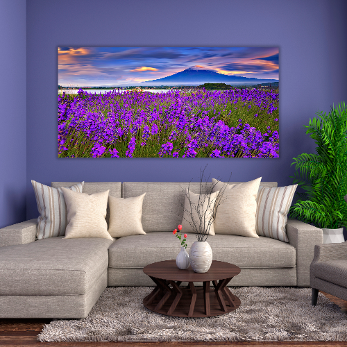Fiji mountain and Lavander