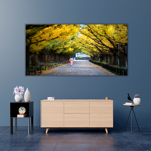 Meiji Jingu Gaien