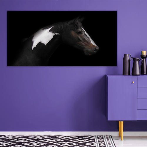 Skewbald Horse