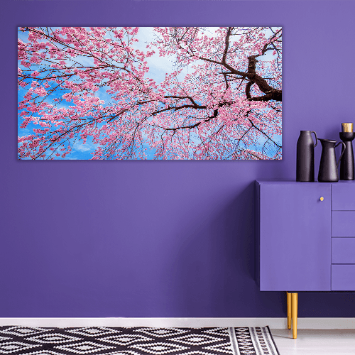 Sakura Season in Spring