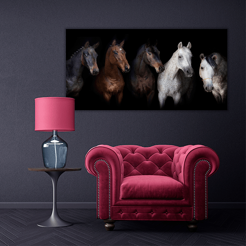 Horses Portrait