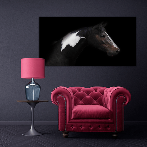 Skewbald Horse