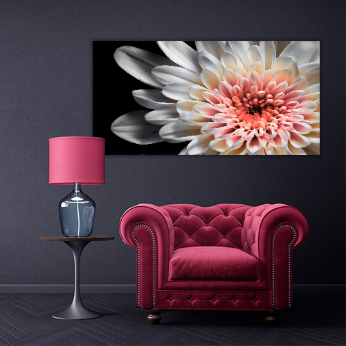 White dahlia
