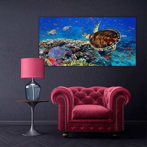 Coral Reff and Sea turtle