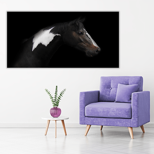Skewbald Horse