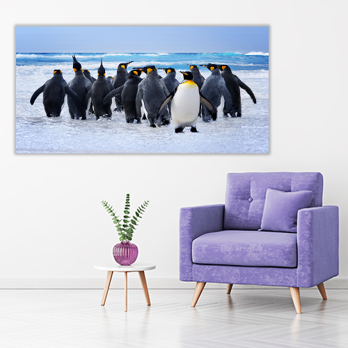 King Pinguins