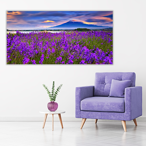 Fiji mountain and Lavander