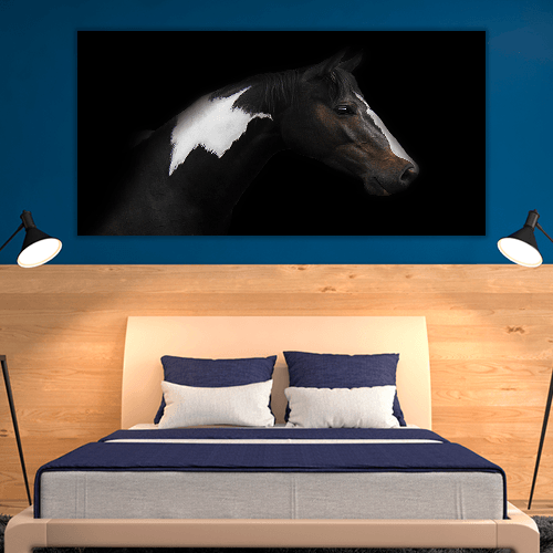 Skewbald Horse