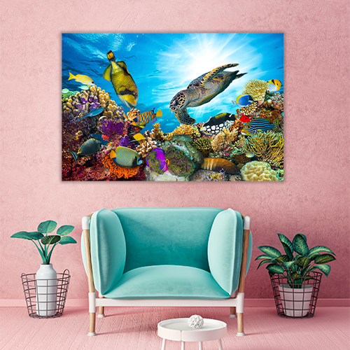 Colorful Coral Reef