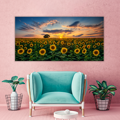 Field of Blooming Sunflowers