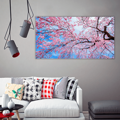 Sakura Season in Spring