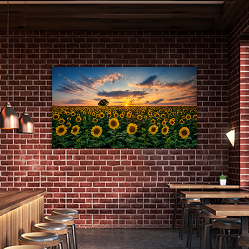 Field of Blooming Sunflowers