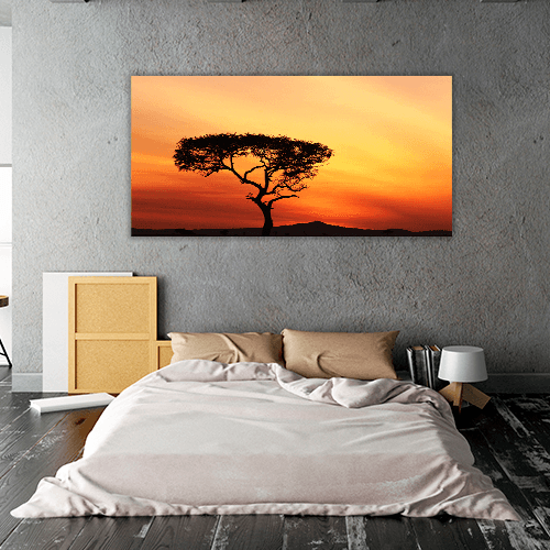 Sunset in a Tree