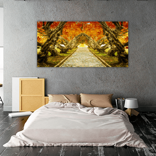 Plumeria Tree Tunnel