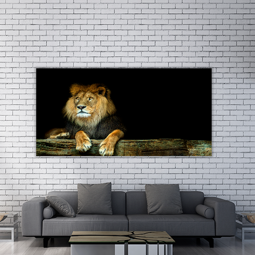 Lion Sitting on a Rock