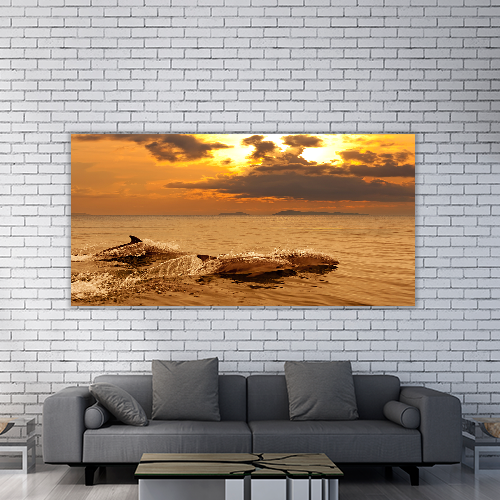 Playing in the sunset