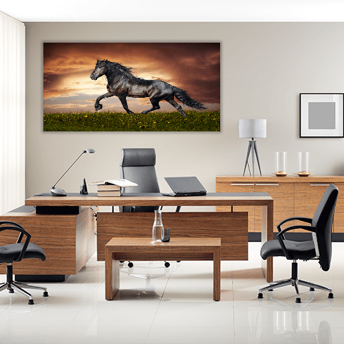 Stallion Running Trot on the Field