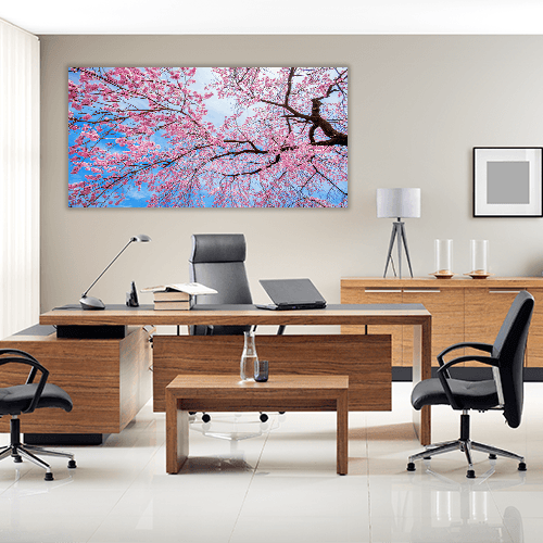 Sakura Season in Spring