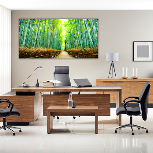 Bamboo forest in Japan