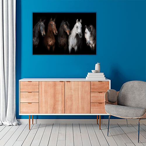 Horses Portrait