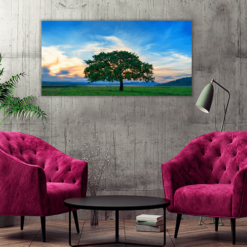 Beautiful and Old Oak