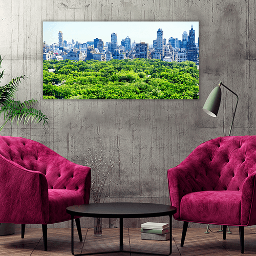 Skyline and Central Park