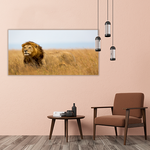 Mighty Lion Watching