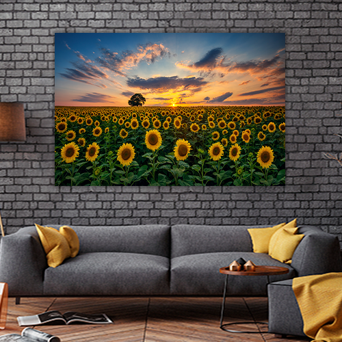 Field of Blooming Sunflowers