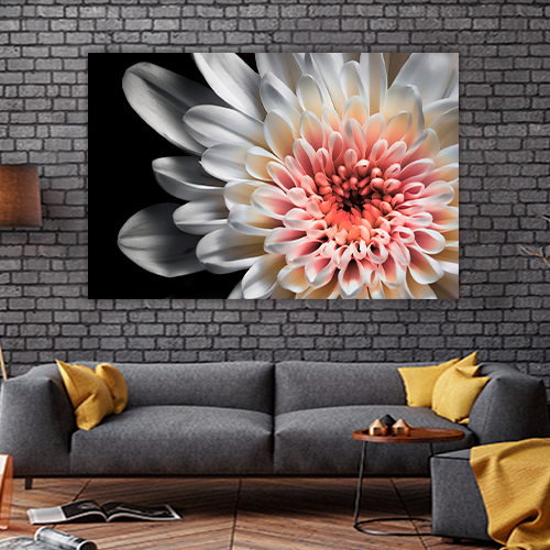 White dahlia