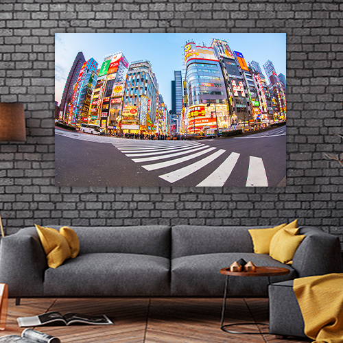 Shinjuku Tokyo Metropolis