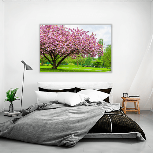 Sakura Tree