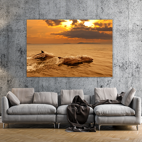 Playing in the sunset