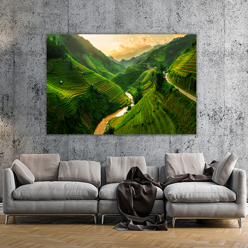 Rice Fields Vietnam