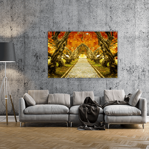 Plumeria Tree Tunnel